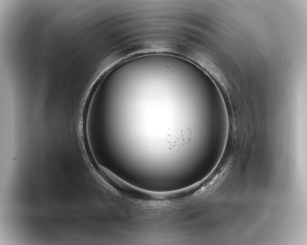 X0000096630797200802051106