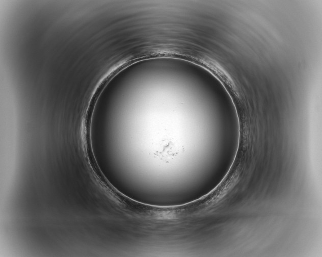 X0000096630798200802051106