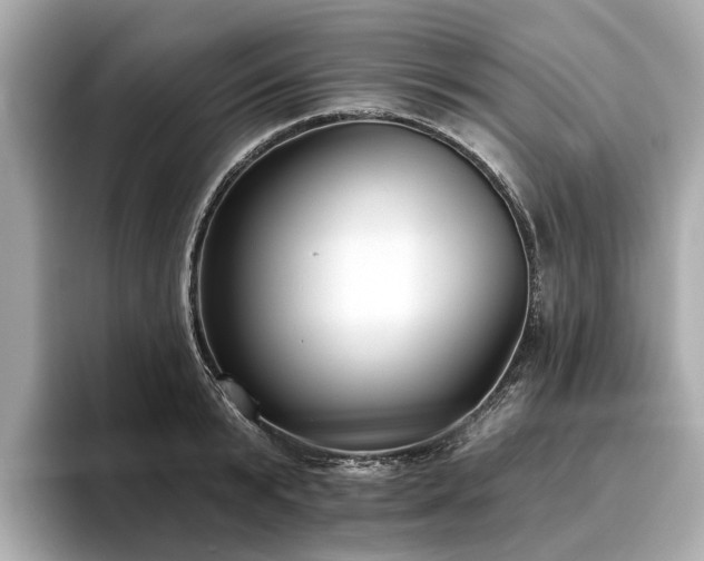 X0000096630799200802051106