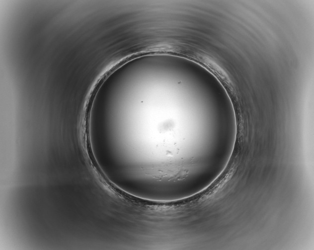 X0000096630800200802051106