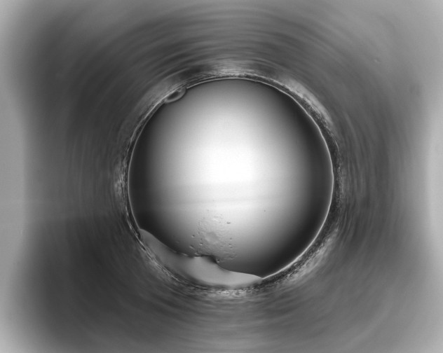 X0000096630801200802051106