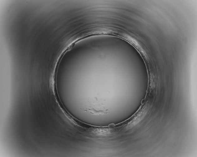 X0000096630802200802051106