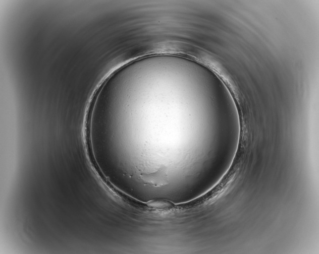 X0000096630803200802051106