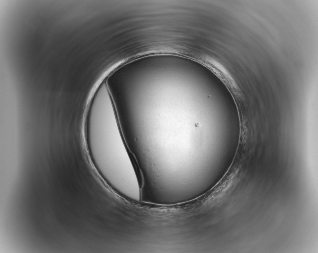X0000096630804200802051106