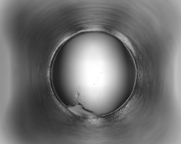 X0000096630805200802051105