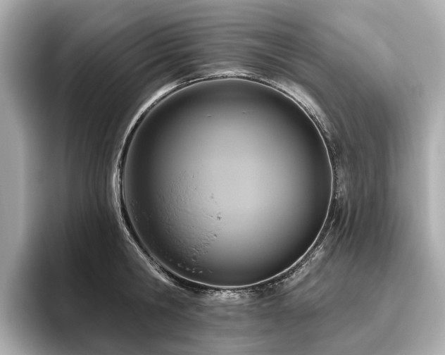 X0000096630806200802051105