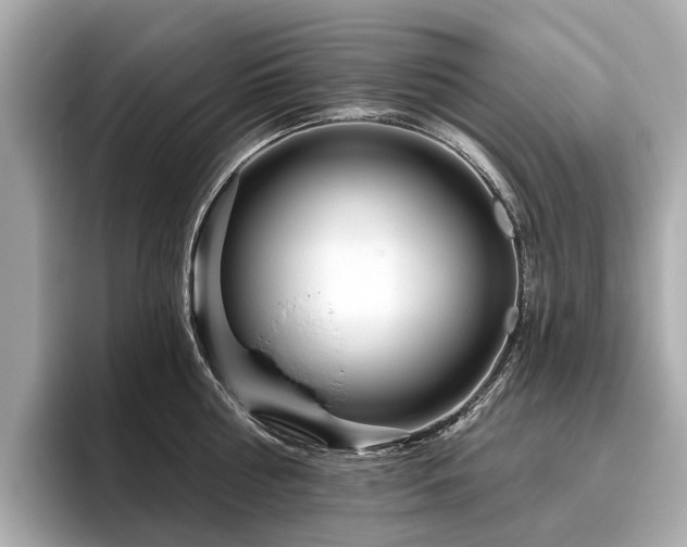 X0000096630810200802051105