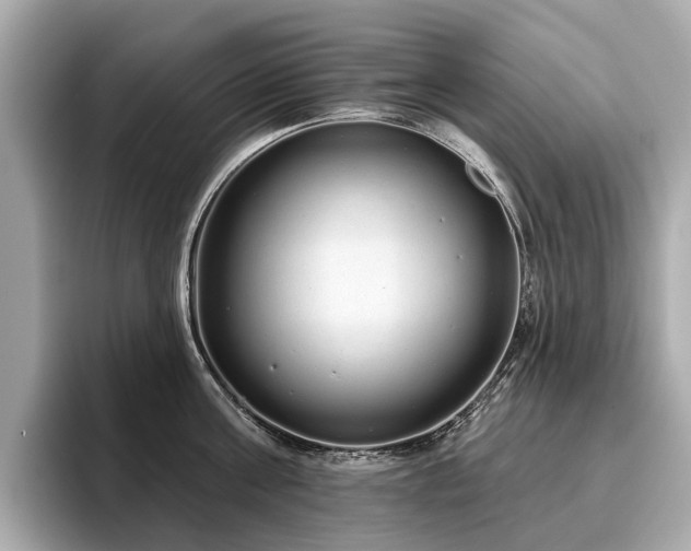 X0000096630811200802051105
