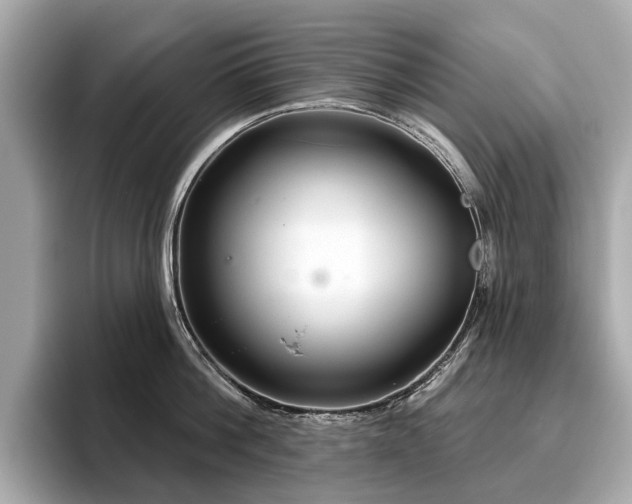 X0000096630812200802051105