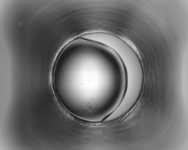 X0000096630813200802051105