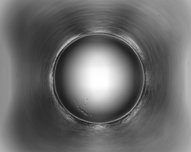 X0000096630814200802051105