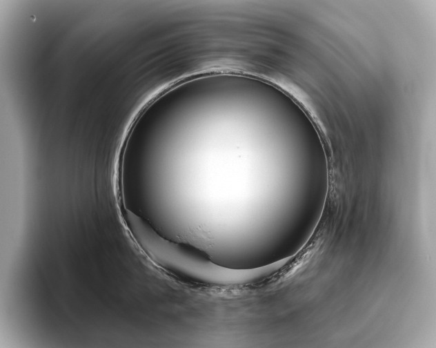 X0000096630815200802051105