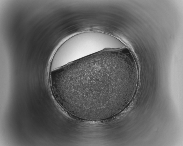 X0000096630816200802051105