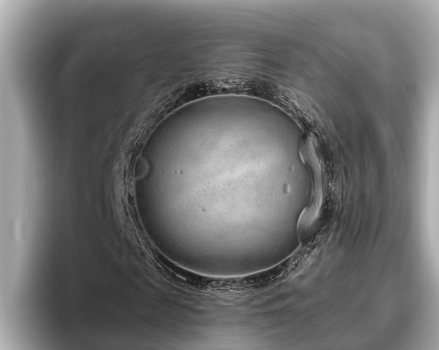 X0000096630817200802051105
