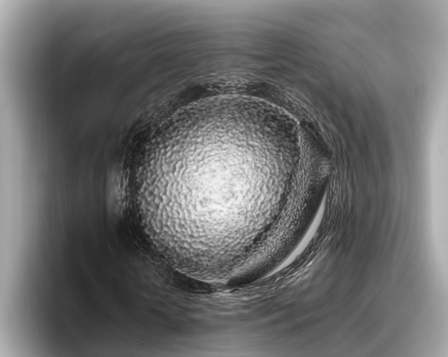 X0000096630818200802051105