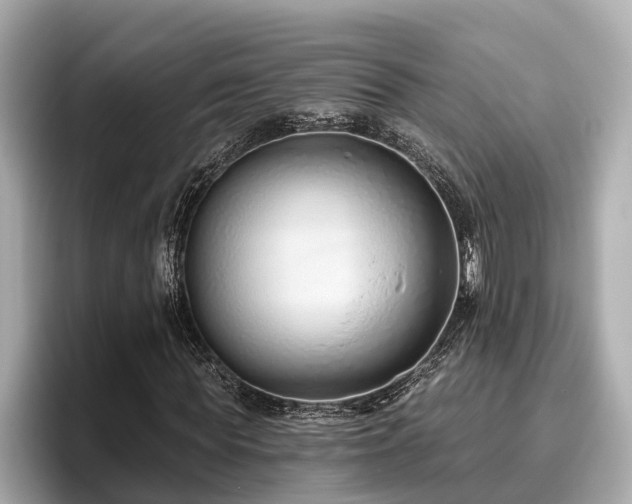 X0000096630819200802051105