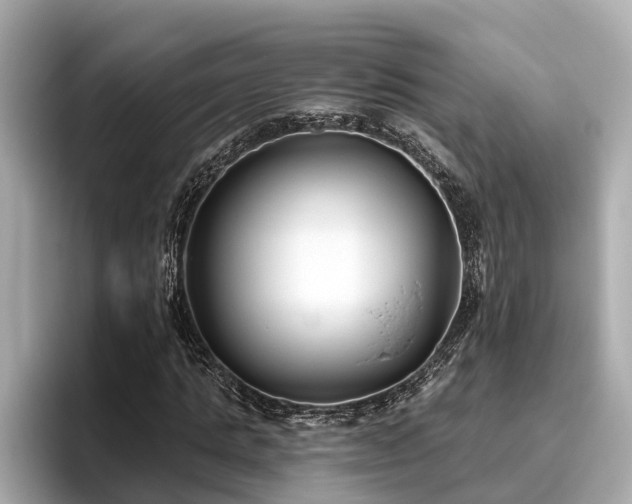 X0000096630821200802051105
