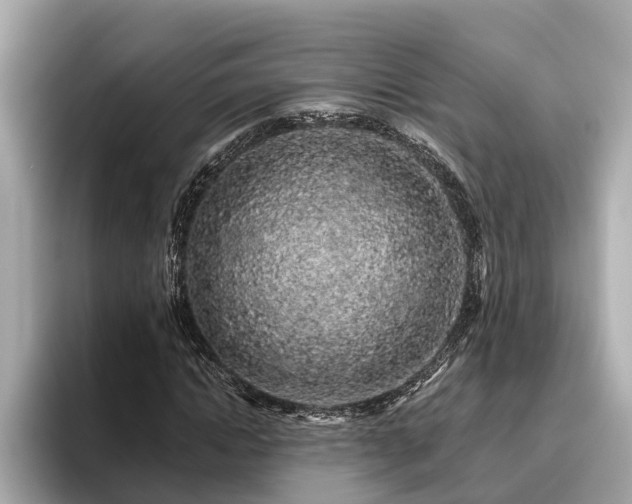 X0000096630822200802051105