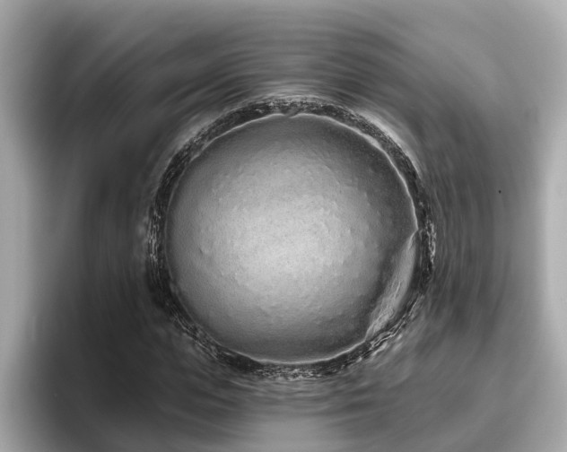 X0000096630823200802051105