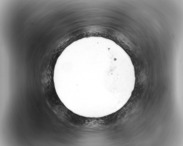 X0000096630824200802051105