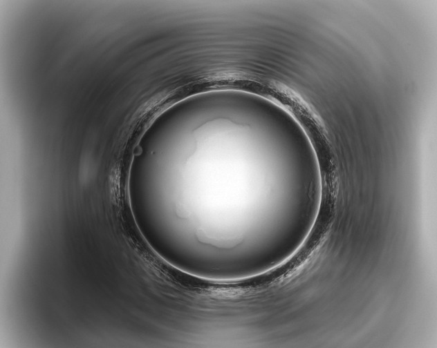 X0000096630825200802051105