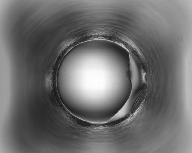 X0000096630826200802051105