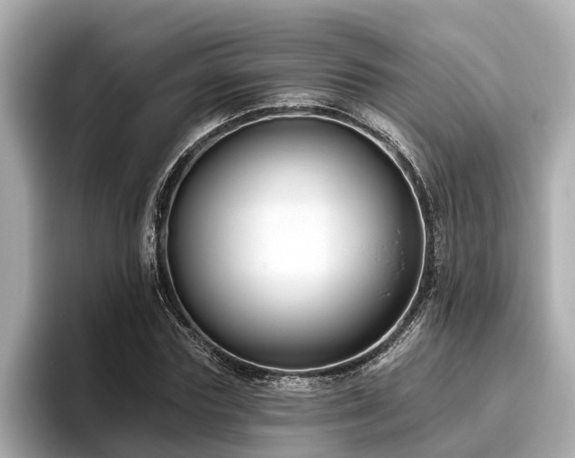 X0000096630827200802051105