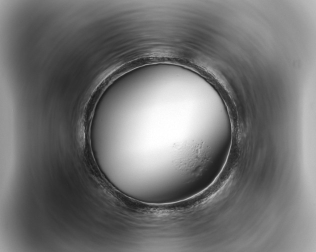 X0000096630829200802051105