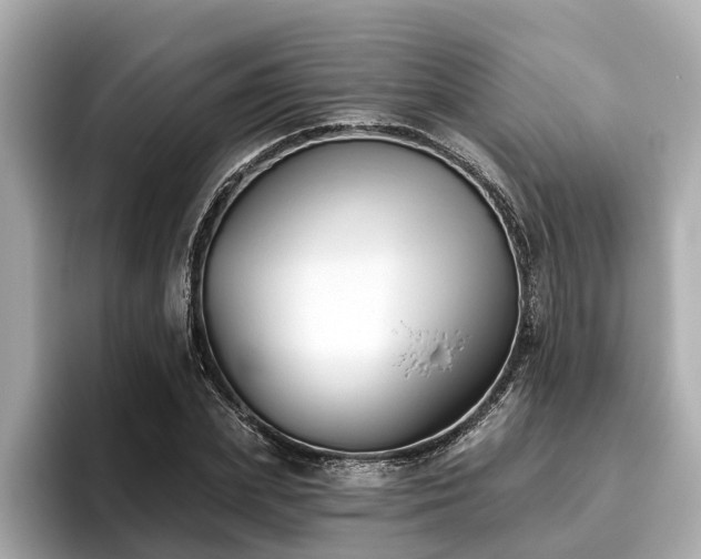 X0000096630831200802051105