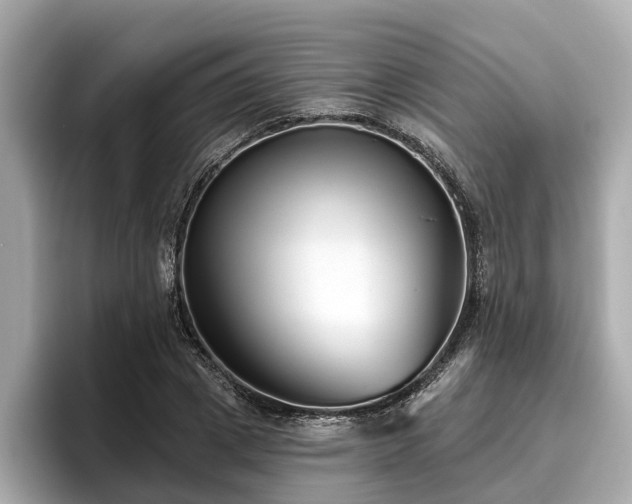 X0000096630833200802051105