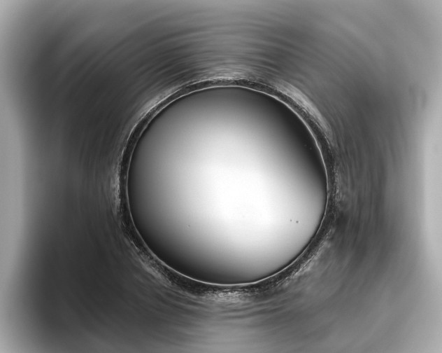 X0000096630834200802051105