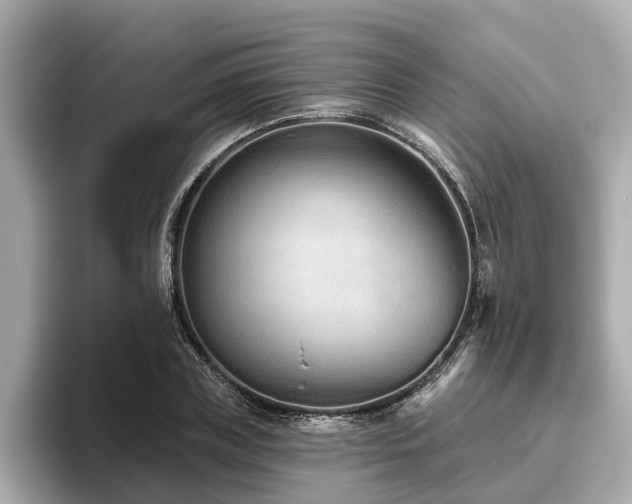 X0000096630835200802051105