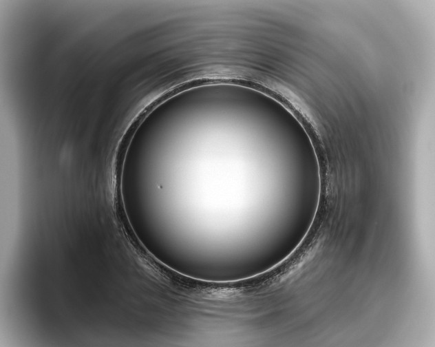 X0000096630837200802051105