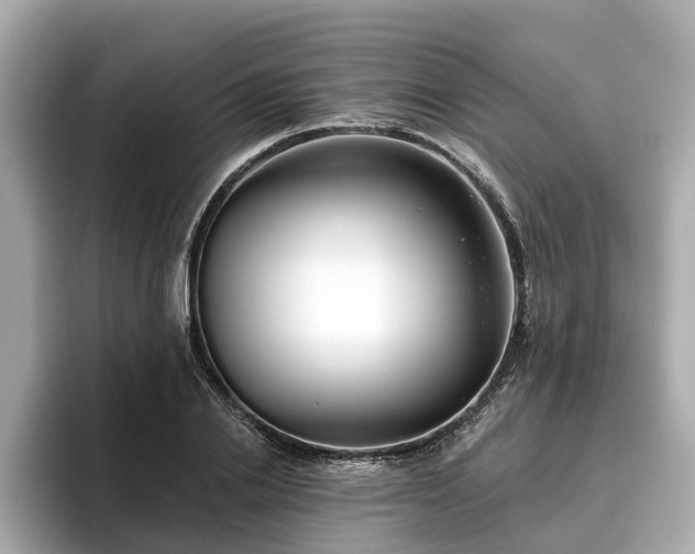 X0000096630838200802051105