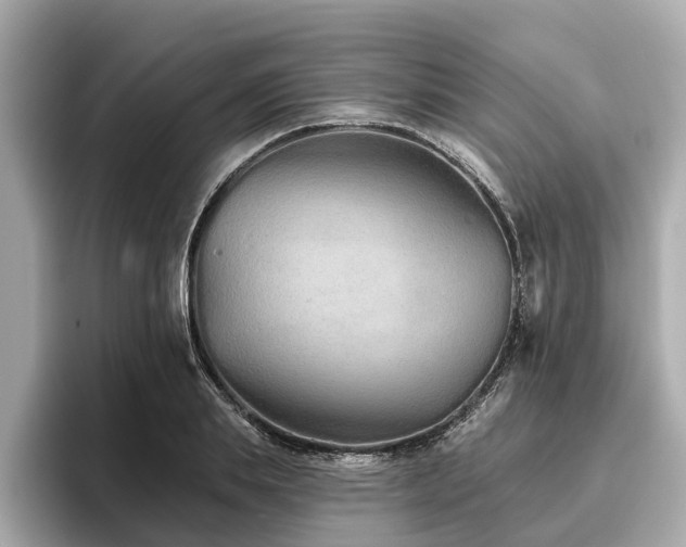 X0000096630839200802051105
