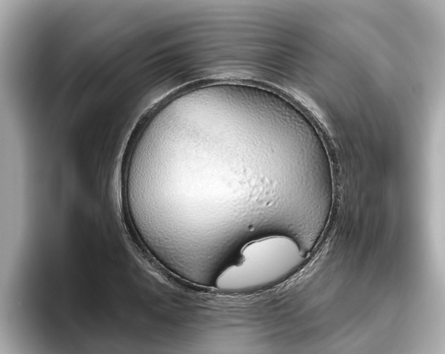 X0000096630840200802051105