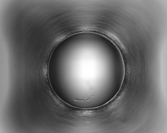 X0000096630841200802051105