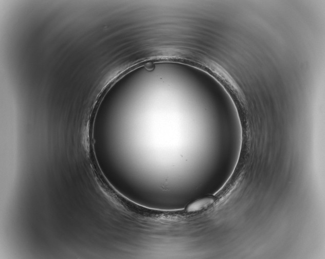X0000096630842200802051105