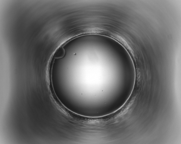 X0000096630843200802051105