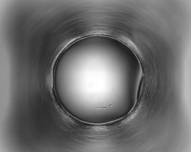 X0000096630844200802051105