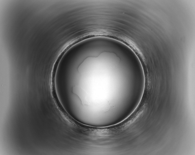 X0000096630845200802051105