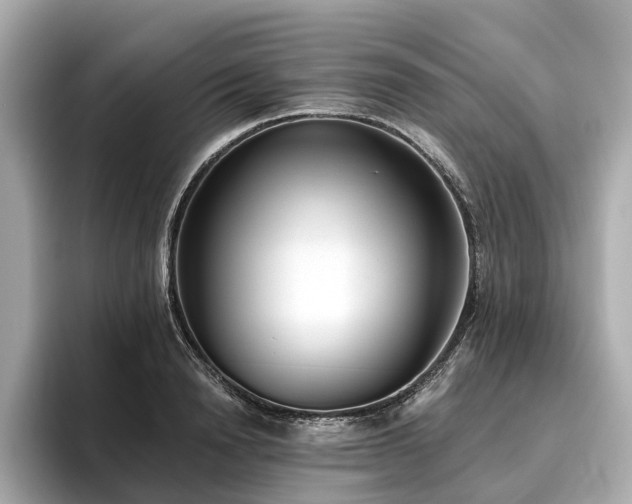 X0000096630846200802051105