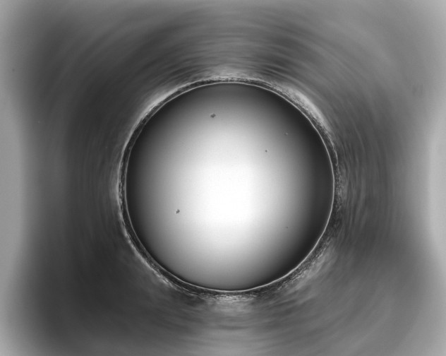 X0000096630847200802051105