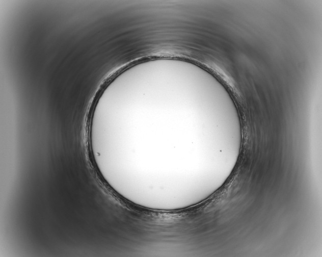 X0000096630848200802051105