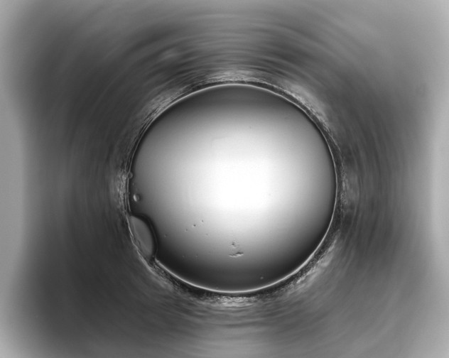 X0000096630849200802051105