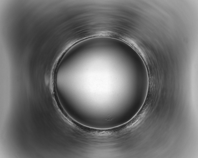 X0000096630851200802051105