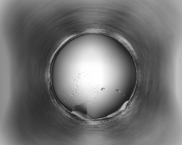 X0000096630852200802051105