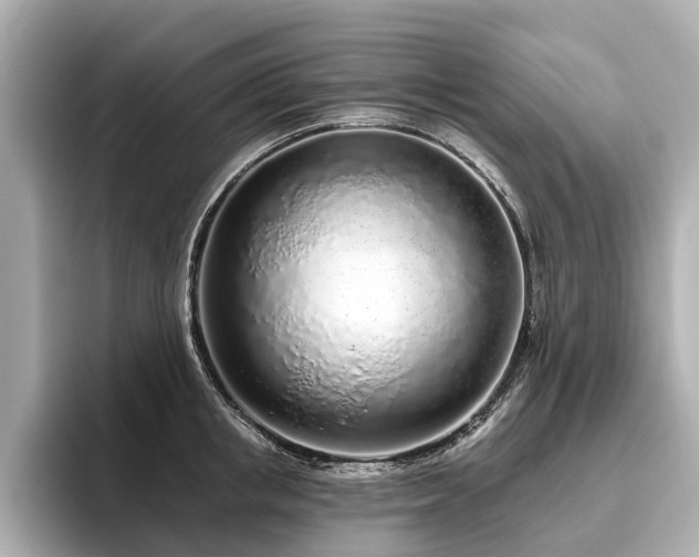 X0000096630853200802051105