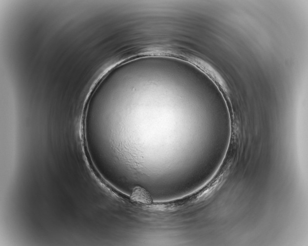 X0000096630855200802051105