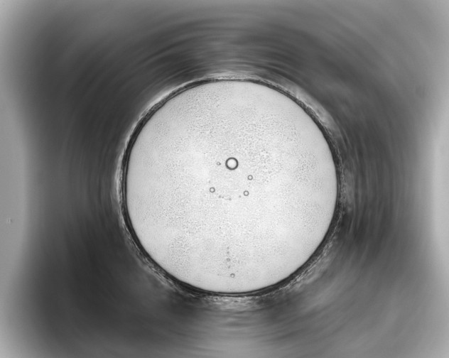 X0000096630856200802051105